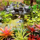 Jasonswatergardens.com - Ponds & Pond Supplies