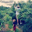 Moorhead's Blueberry Farm - Farms