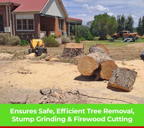Phil's Tree Service - Cootamundra, NSW. Ensures Safe, Efficient Tree Removal, Stump Grinding & Firewood Cutting