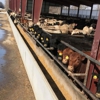 Profectus Livestock Solutions gallery