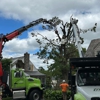 Friendly Tree Service Inc gallery