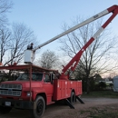 A Cut Above Tree Service - Tree Service