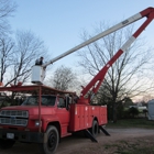 A Cut Above Tree Service