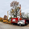 We Care Tree Service gallery