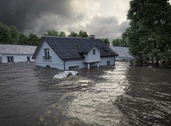 The Flood Insurance Guru - Covington, GA