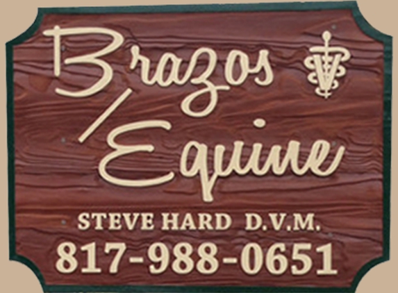Brazos Equine Services - Weatherford, TX