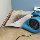 The Flood Company - Water Damage Restoration