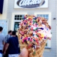 Abbott's Frozen Custard INC