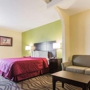 Quality Inn & Suites near Coliseum and Hwy 231 North