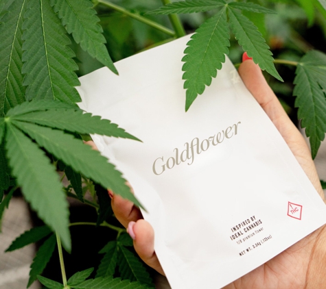 Goldflower Cannabis Dispensary Tampa - Tampa, FL