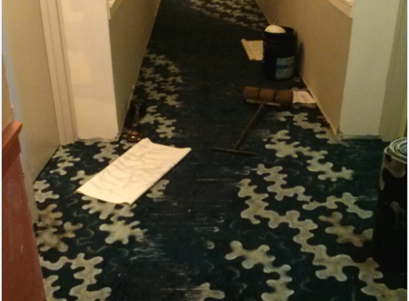 straightedge floor covering inc. - Orlando, FL