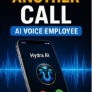 Hydra Business Suite - Marketing Consultants