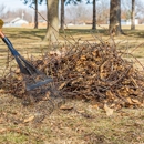 Wilkins Lawn & Landscape - Arborists