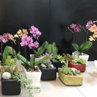 Floral Creations