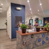 VCA AVH Animal Hospital gallery