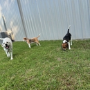 K9 Clubhouse Dog Day Care The Woodlands - Pet Services