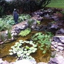 Universal Aquatics - Ponds & Pond Supplies