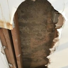 Long Island Mold Removal Pros