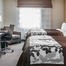 Sleep Inn & Suites Devils Lake - Motels