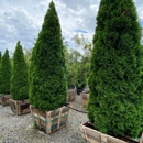 Moon Valley Nurseries - Nurseries-Plants & Trees