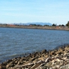 San Leandro Dog Park gallery