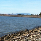 San Leandro Dog Park