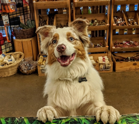 Buster's Natural Pet Supply - Conifer, CO