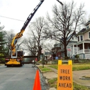 Arbor Management Specialists - Stump Removal & Grinding