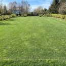 Top Turf - Sod & Sodding Service