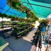 Hometown Hardware & Garden Center gallery