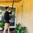 Gingerly Pest Control - Pest Control Services