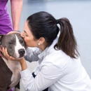 Rea Rd Animal Hospital - Veterinarians