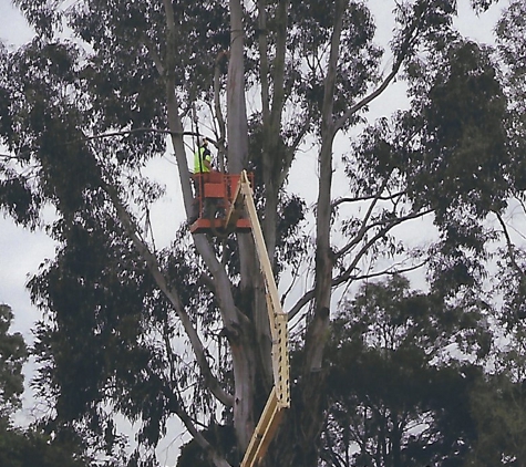 Glenmaggie Treelopping, Bobcat & Tipper Hire - Heyfield, VIC