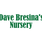 Dave Bresina's Nursery