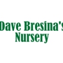Dave Bresina's Nursery