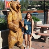 McDonald's gallery