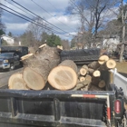 NXT Landscaping & Tree Service