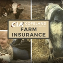 Copeland Insurance Agency, Inc. - Insurance