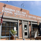 Corona del Mar Animal Hospital, A Thrive Pet Healthcare Partner