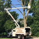 RVP Expert Tree Services - Tree Service