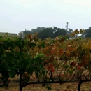 Lone Madrone Winery - Wineries