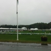 Lake Placid Horse Show gallery