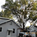 Mid State Tree Service Arborist - Mulches