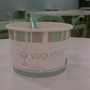 Yogurtini