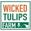 Wicked Tulips - Exeter RI gallery