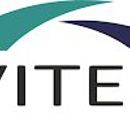 Vitek IP - Market Research & Analysis