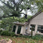 Morton's Tree Care
