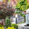Safe Haven Pest Control gallery