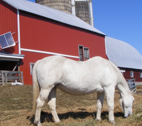 Promises Kept Farm - Summit, NY