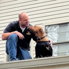 Ridgeback Roofing